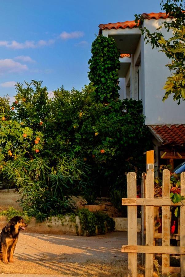 Vineyard Country House With Panoramic Seaview Александроуполис Экстерьер фото