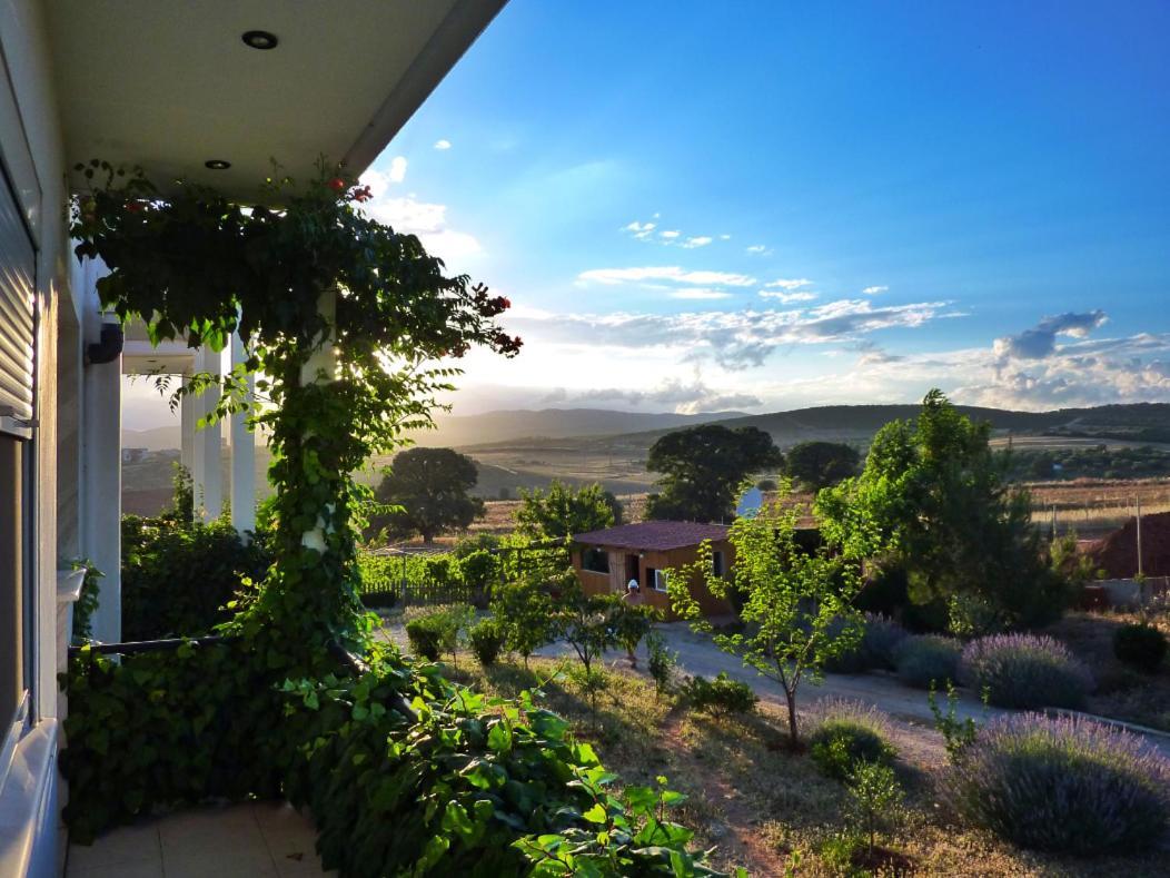 Vineyard Country House With Panoramic Seaview Александроуполис Экстерьер фото